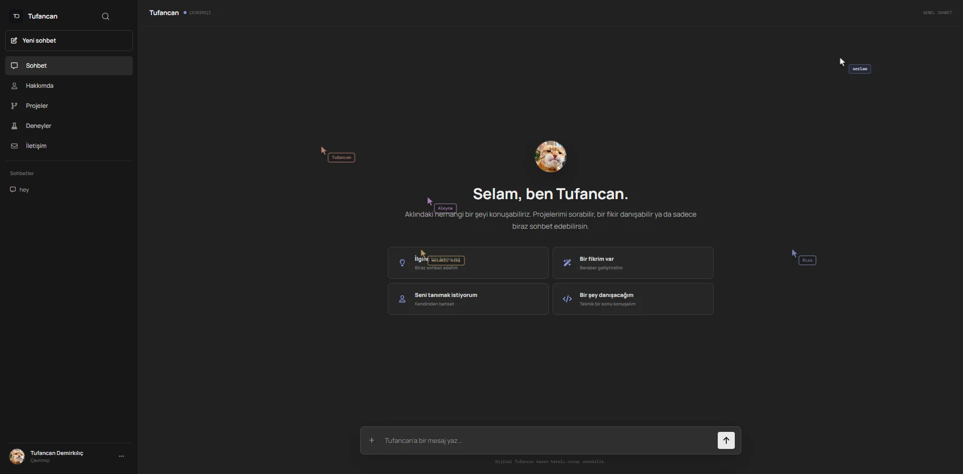 demirkilic.com.tr projesi